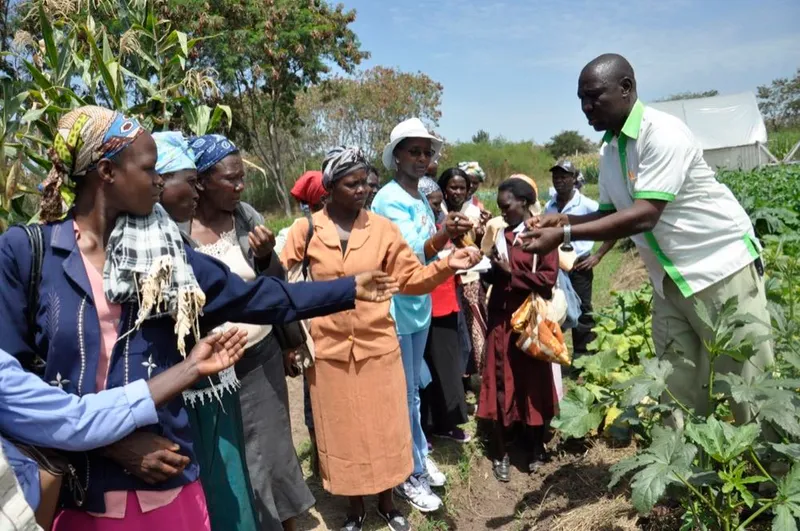 Women smallholder farmers working in agriculture